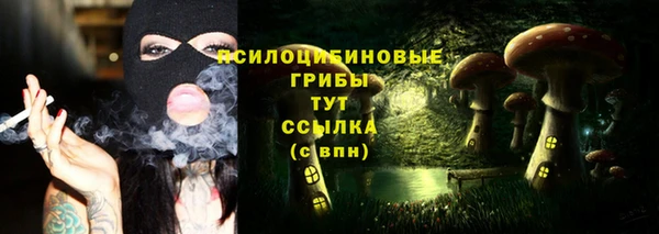 прущие грибы Пестово