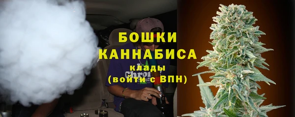 PSILOCYBIN Киров