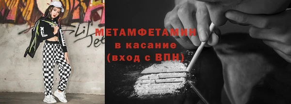 прущие грибы Пестово