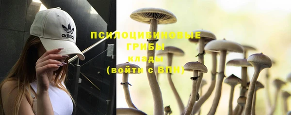 трава Пересвет