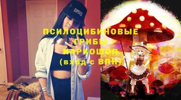 прущие грибы Пестово