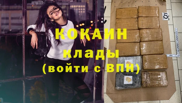 прущие грибы Пестово