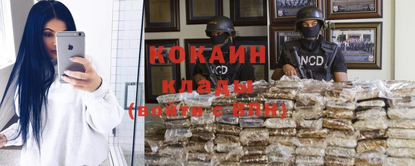 прущие грибы Пестово