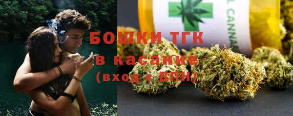 прущие грибы Пестово