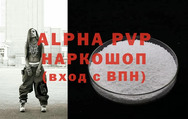 прущие грибы Пестово
