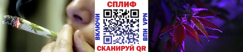 Шишки марихуана план  Белая Холуница 